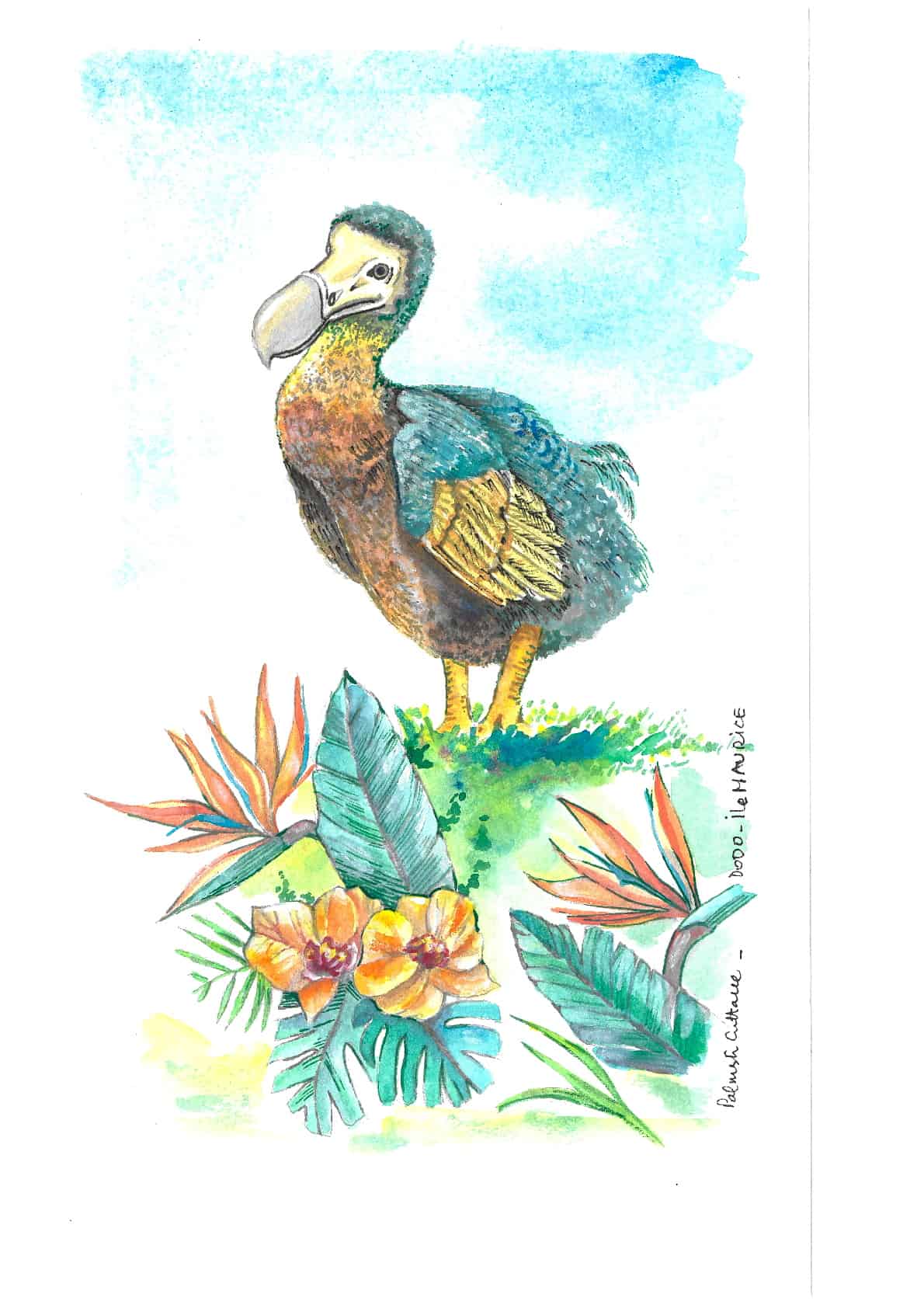 Mauritius souvenir bookmark : Dodo