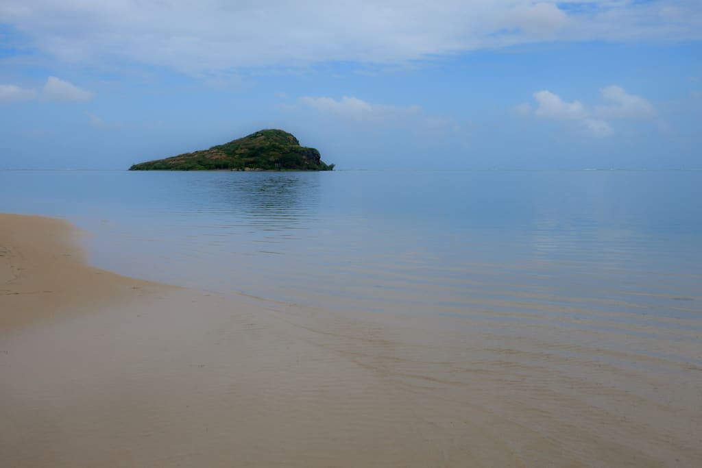 Ile flottante