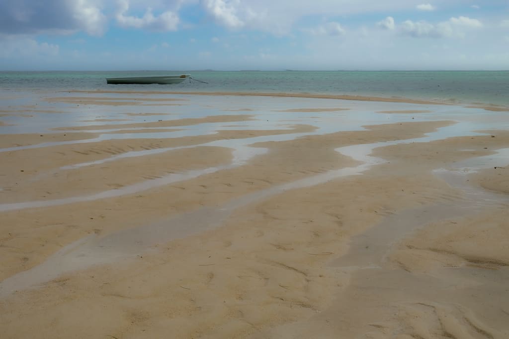 Marée Basse