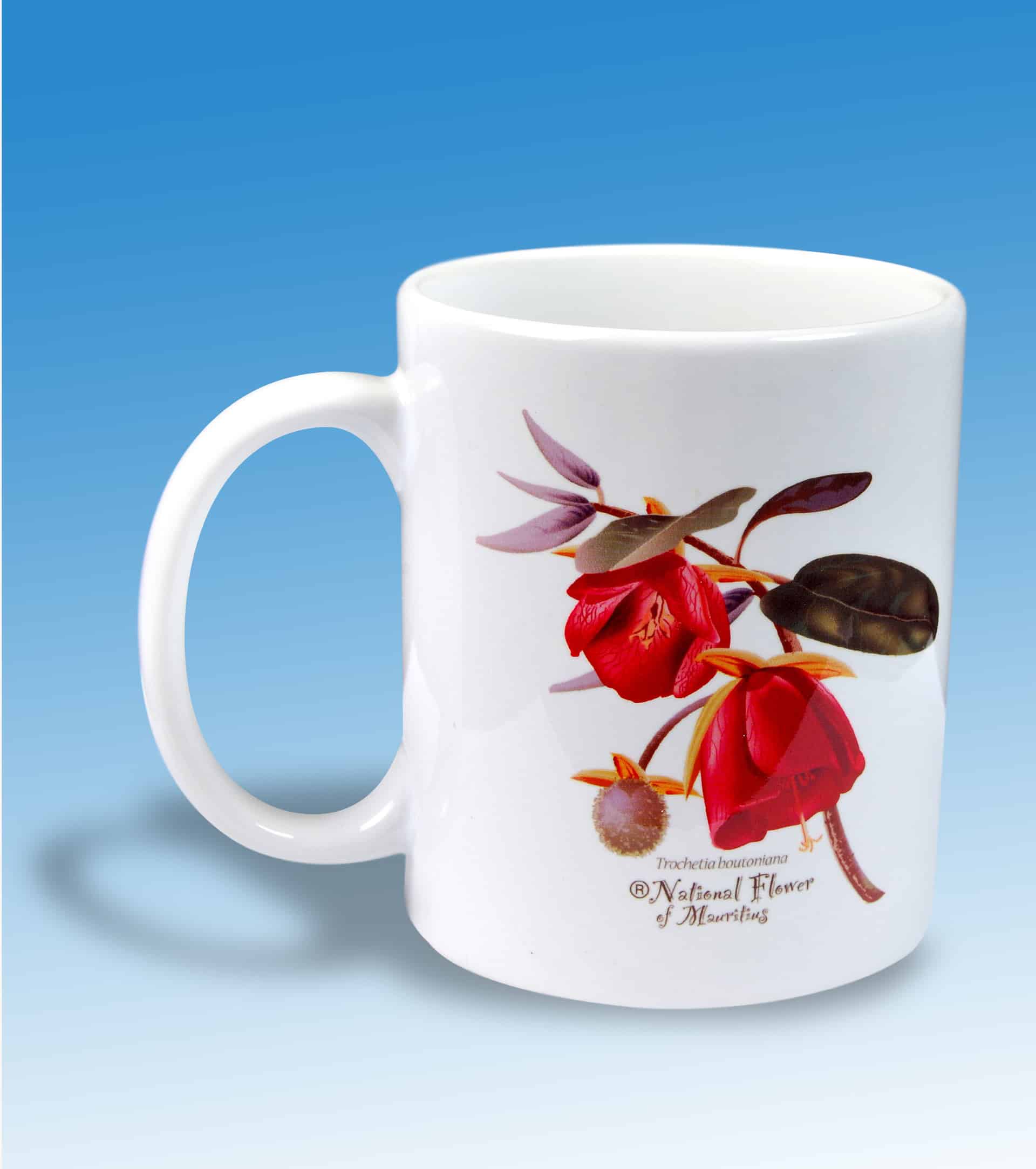 Mauritius Souvenir : Trochetia mug