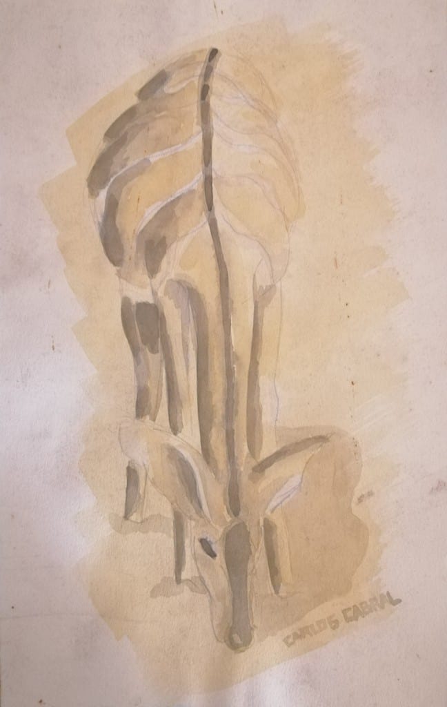 Kudu