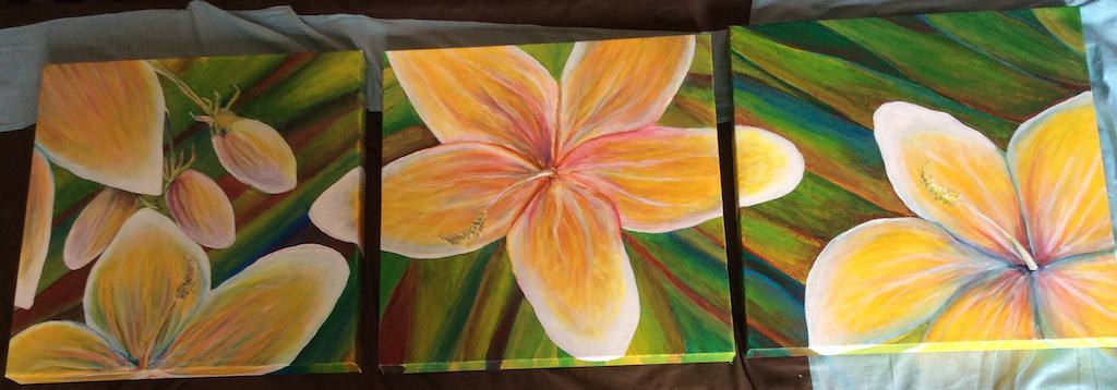 Hibiscus