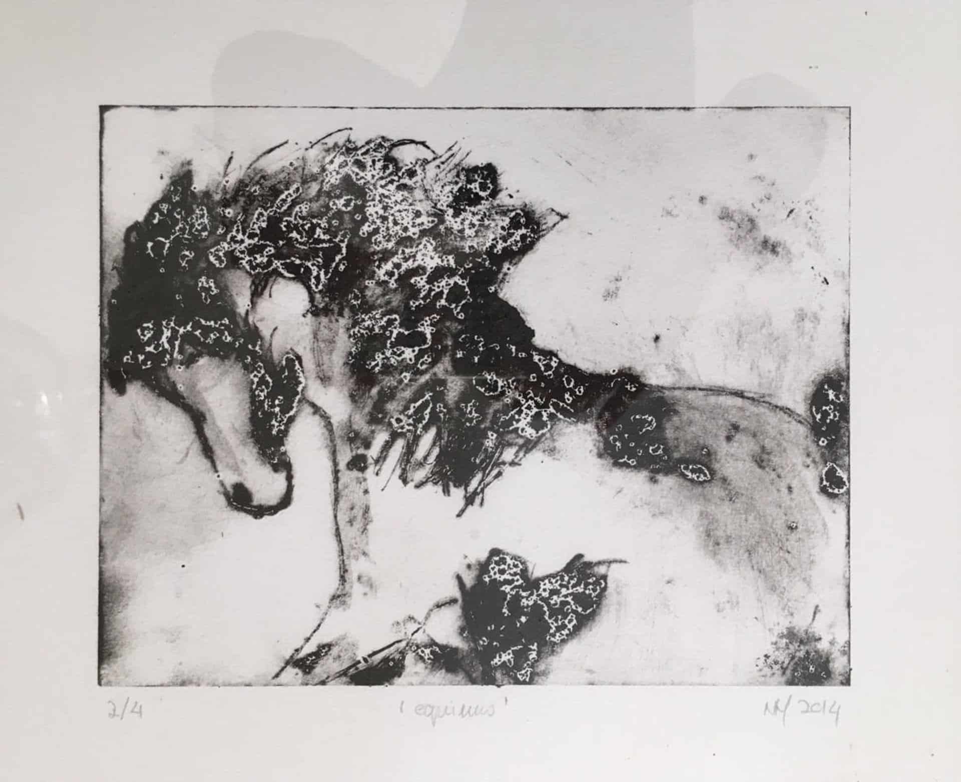 Equus