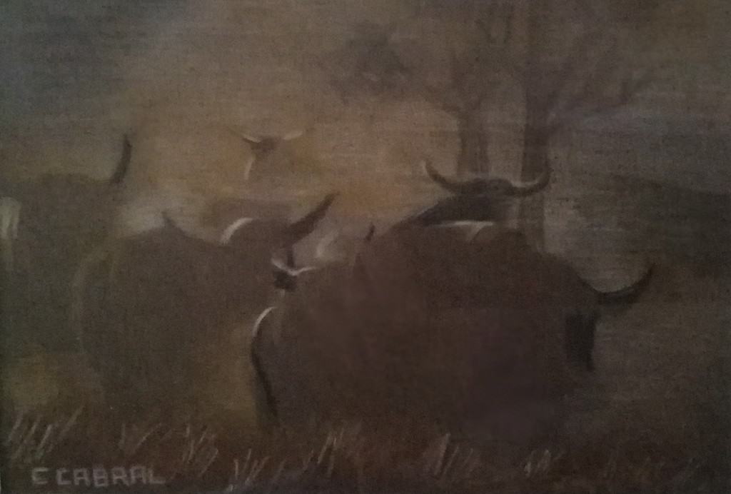 Buffalo Dawn