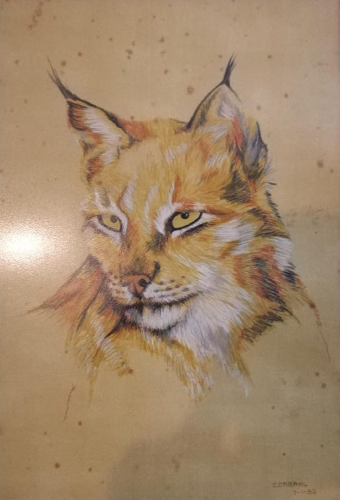 Lynx