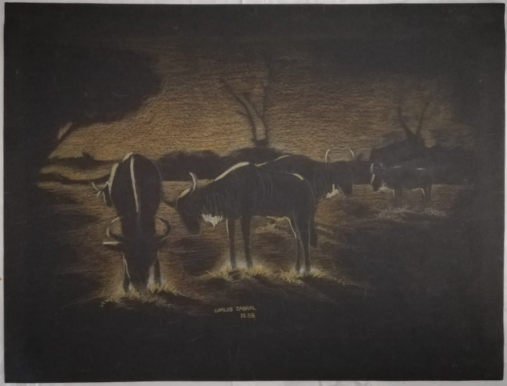 Wildebeest Dusk