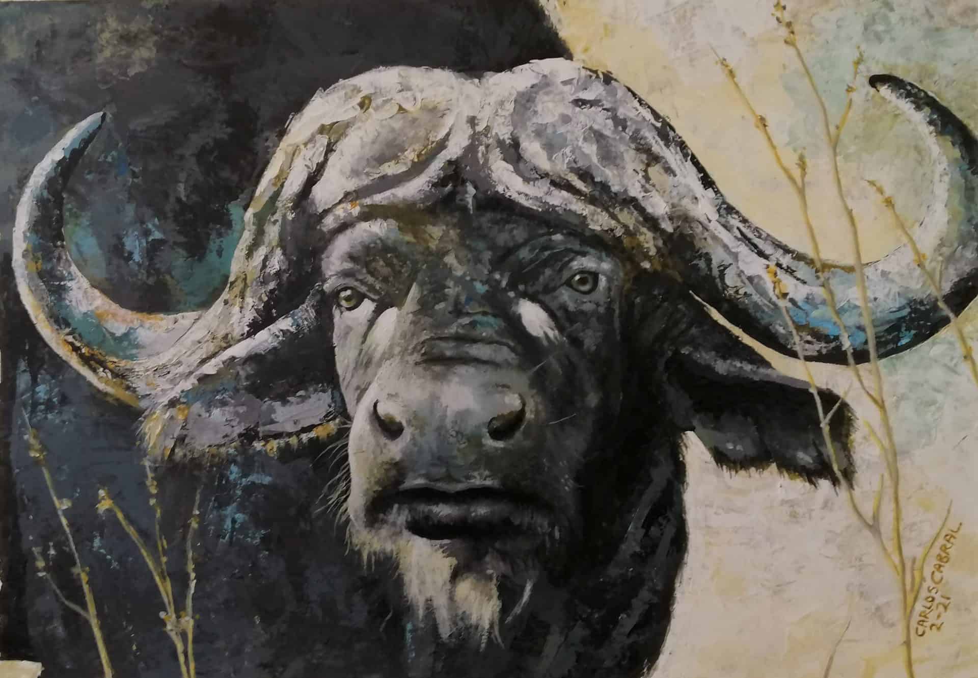 Cape Buffalo