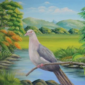 mauritian-artist-dinesh-sobhee-pink-pigeon