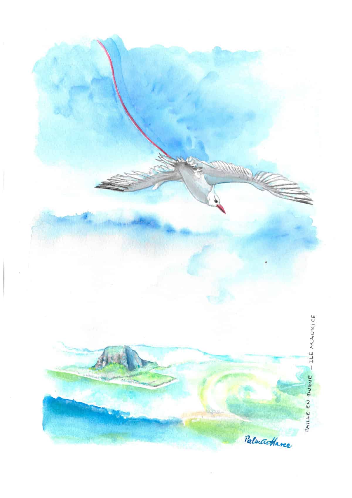 Palmesh Cuttaree Paille en Queue Survol du Morne Mauritius Arts