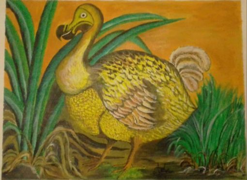 Mauritius Arts & Artists - mauritius-arts-asha-nawoor-the-famous-dodo