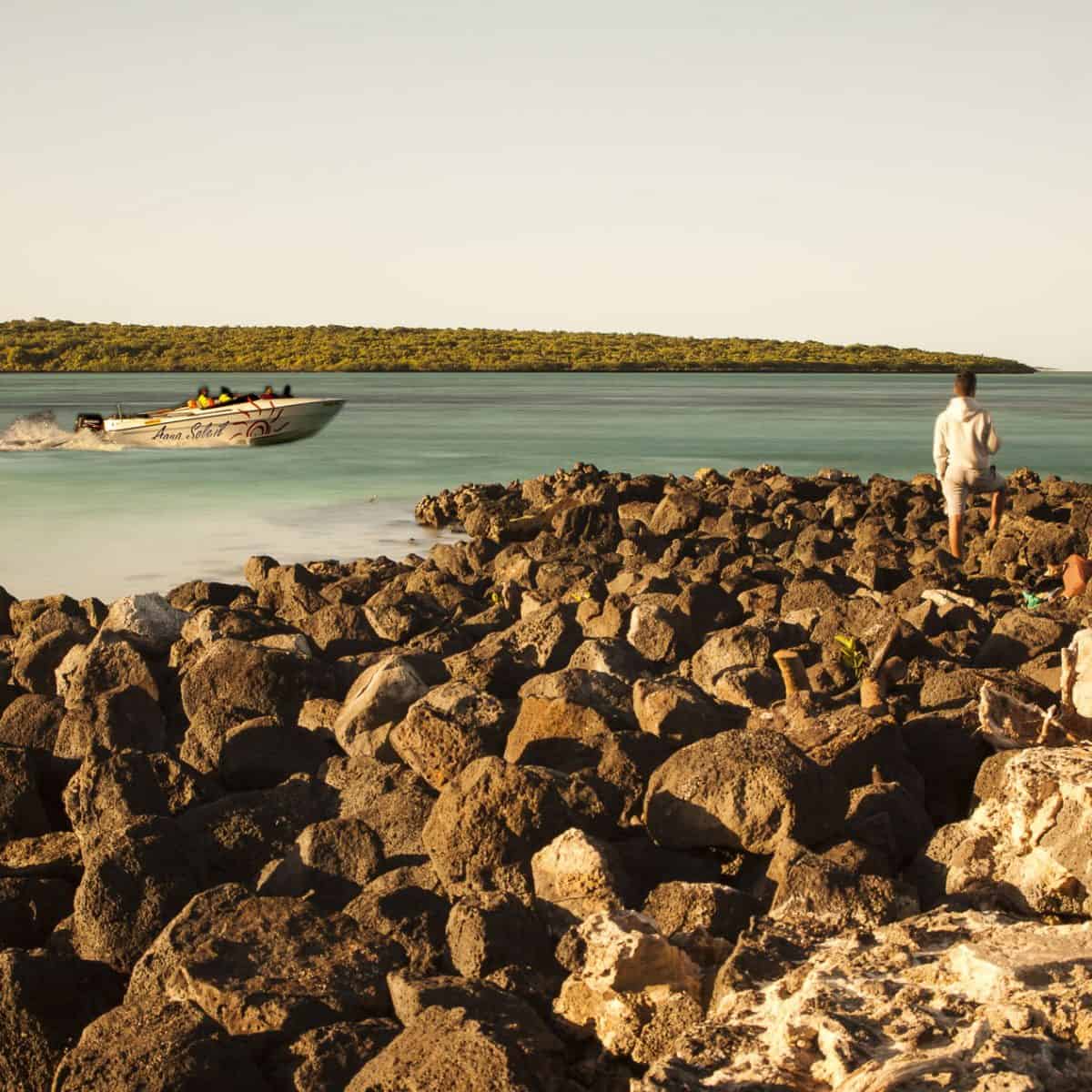 Mauritius Arts – Online Art Gallery – Mauritian paintings, sculptures