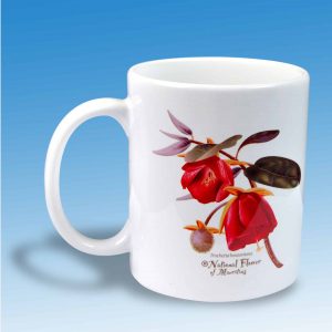 souvenir-mauritius-trochetia-mug