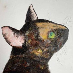 mauritius-arts-priya-jhugroo-cat-painting