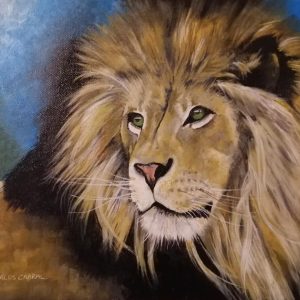 mauritius-arts-carlos-cabral-black-mane-lion