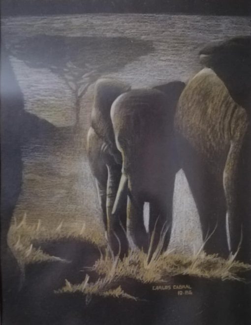 mauritius-arts-carlos-cabral-elephant-dawn